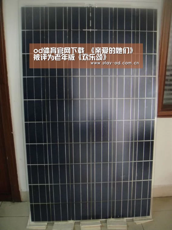 od体育官网下载_《亲爱的她们》被评为老年版《欢乐颂》(图2) od体育官网下载