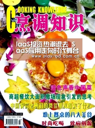 IaaS投资热潮退去 SaaS应用走向时代舞台【ob体育官网】(图1) od体育官网下载